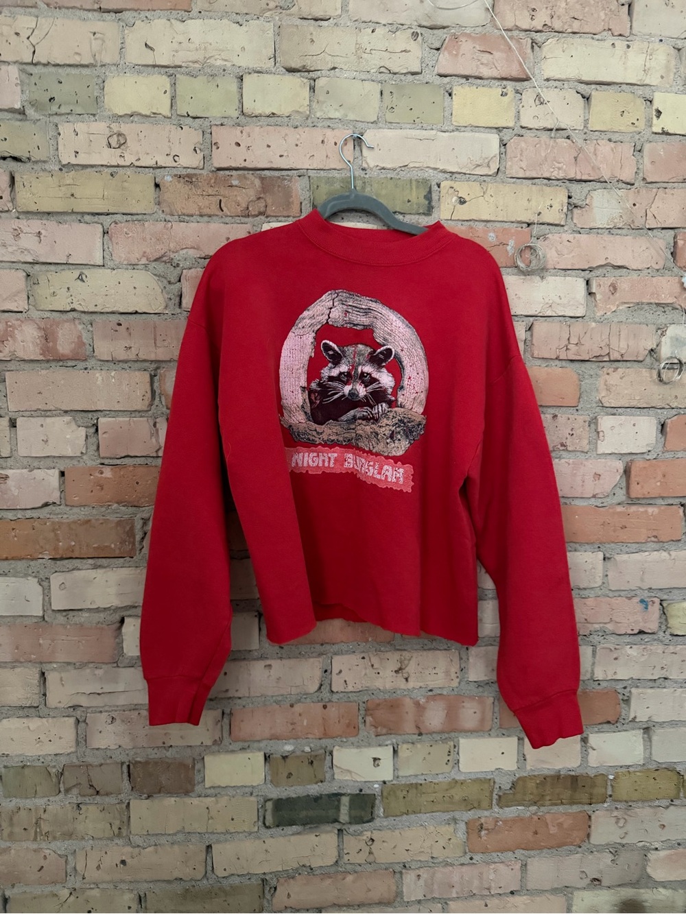 Vintage raccoon sweatshirt